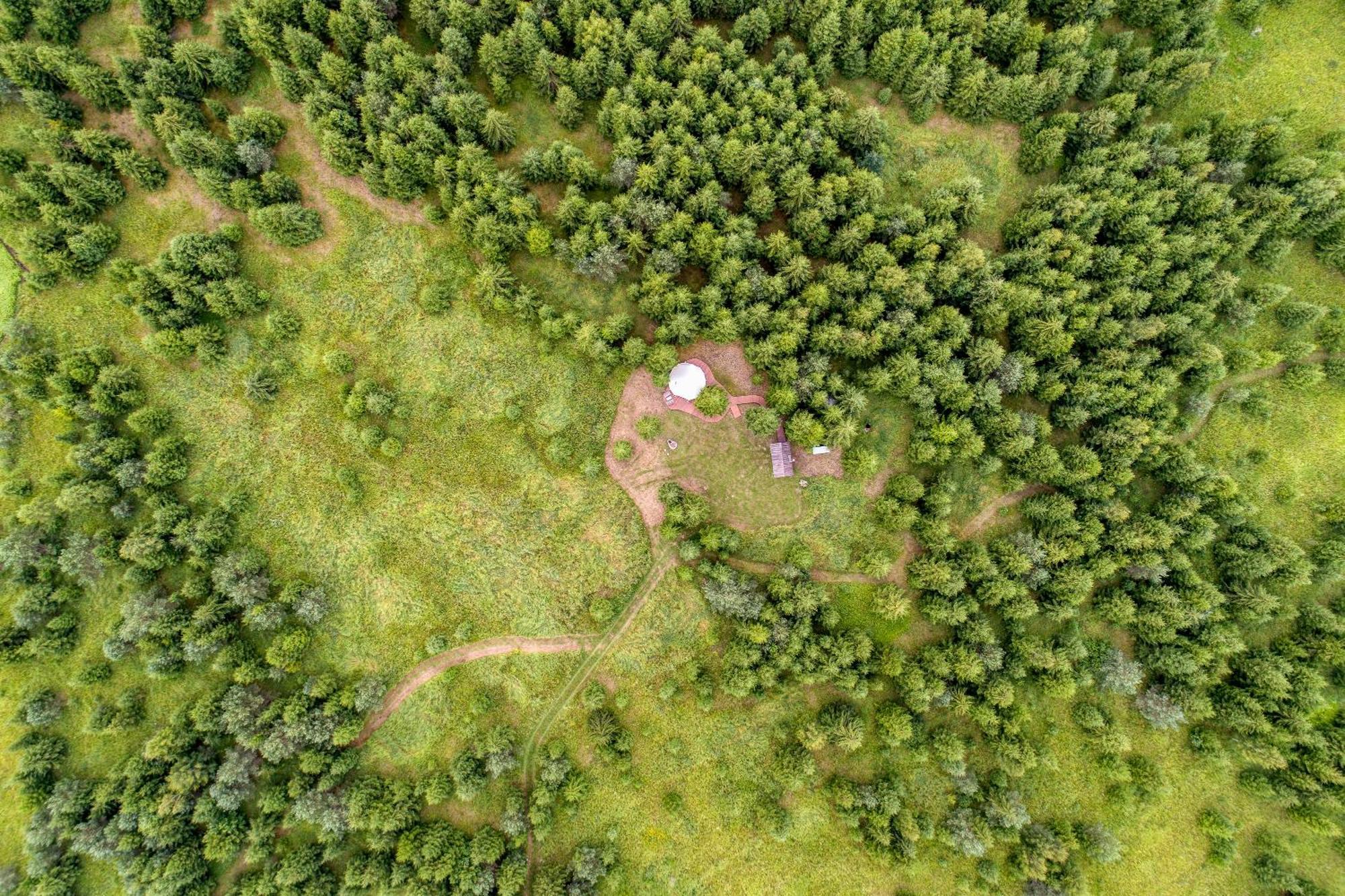 Kuusehaldja Glamping Ξενοδοχείο Kohila Εξωτερικό φωτογραφία